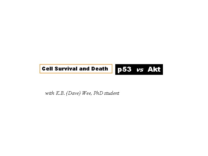 Cell Survival and Death p 53 vs Akt with K. B. (Dave) Wee, Ph.