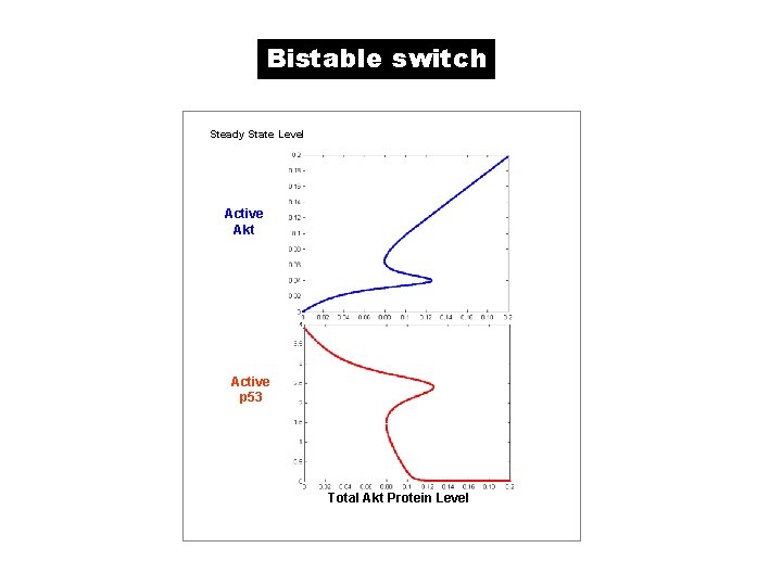 Bistable switch Steady State Level Active Akt Active p 53 Total Akt Protein Level