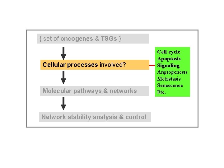 { set of oncogenes & TSGs } Cellular processes involved? Molecular pathways & networks