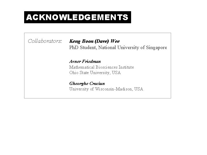 ACKNOWLEDGEMENTS Collaborators: Keng Boon (Dave) Wee Ph. D Student, National University of Singapore Avner