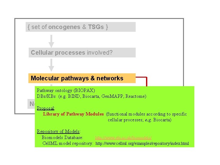{ set of oncogenes & TSGs } Cellular processes involved? Molecular pathways & networks