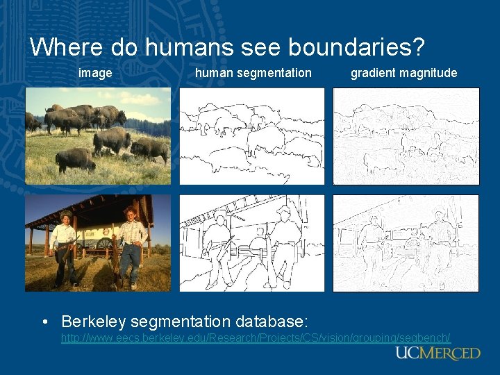 Where do humans see boundaries? image human segmentation gradient magnitude • Berkeley segmentation database: Where do humans see boundaries? image human segmentation gradient magnitude • Berkeley segmentation database:
