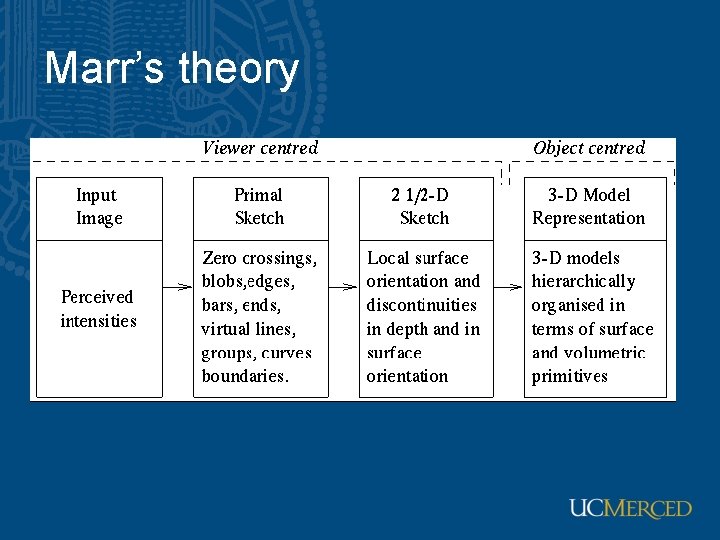 Marr’s theory Marr’s theory