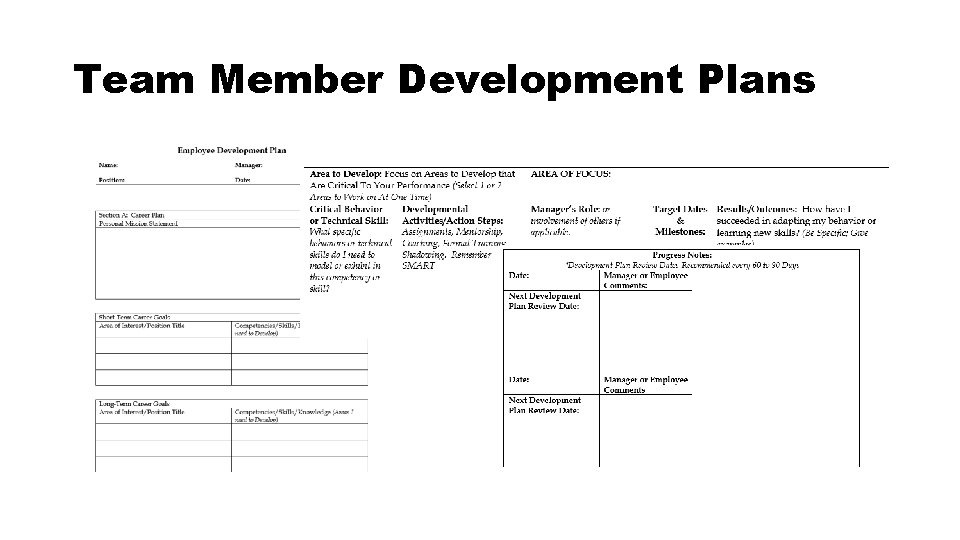 Team Member Development Plans Team Member Development Plans