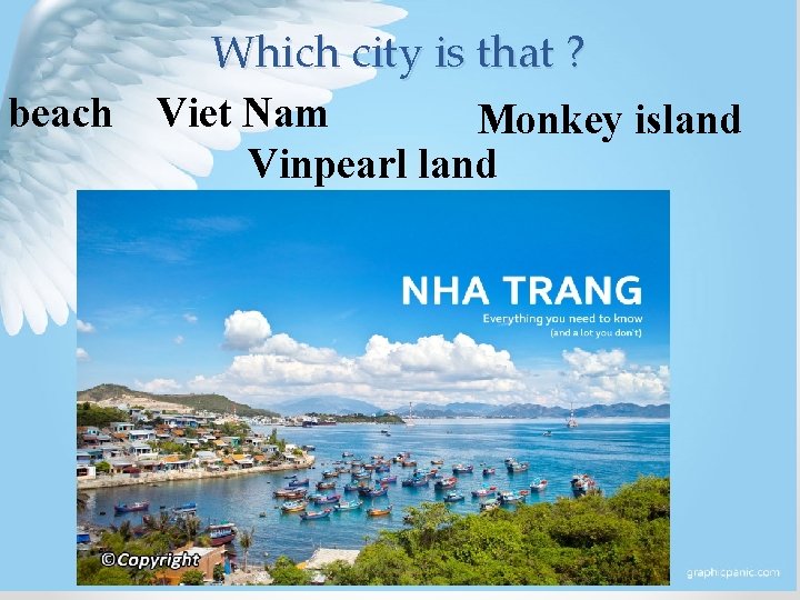 Which city is that ? beach Viet Nam Monkey island Vinpearl land 