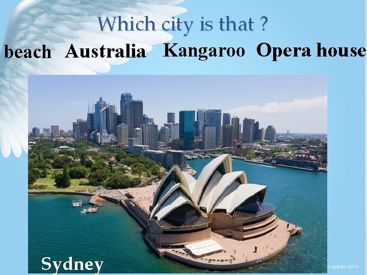 Which city is that ? beach Australia Kangaroo Opera house Sydney 