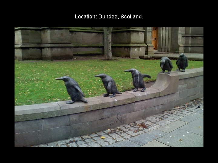 Location: Dundee, Scotland. 
