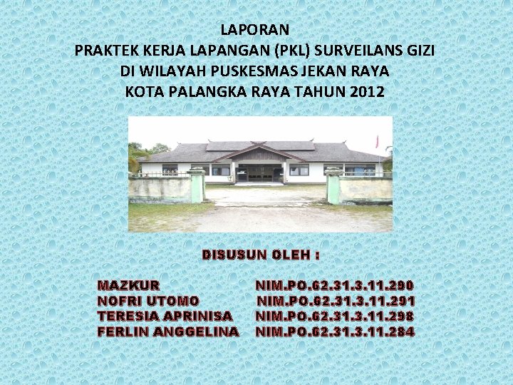 LAPORAN PRAKTEK KERJA LAPANGAN (PKL) SURVEILANS GIZI DI WILAYAH PUSKESMAS JEKAN RAYA KOTA PALANGKA