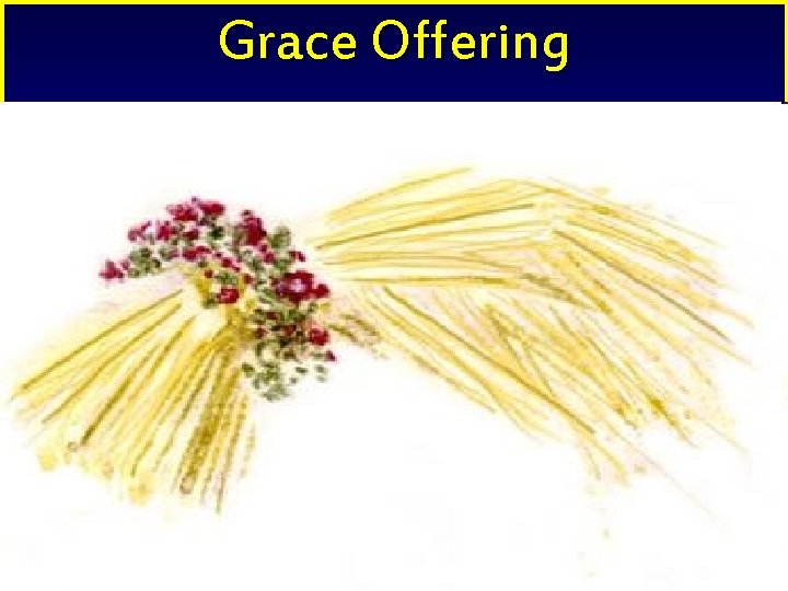 Grace Offering 