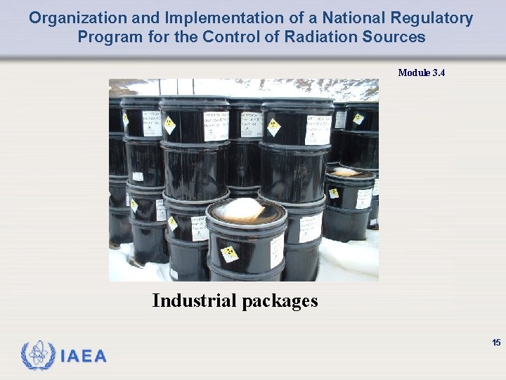Organization and Implementation of a National Regulatory Program for the Control of Radiation Sources