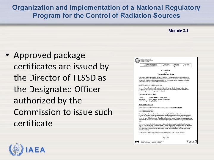 Organization and Implementation of a National Regulatory Program for the Control of Radiation Sources