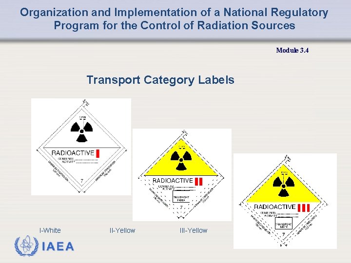 Organization and Implementation of a National Regulatory Program for the Control of Radiation Sources