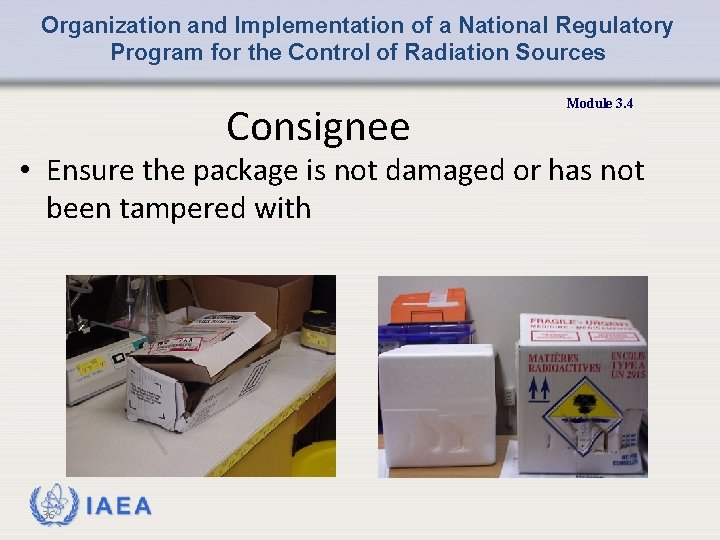 Organization and Implementation of a National Regulatory Program for the Control of Radiation Sources