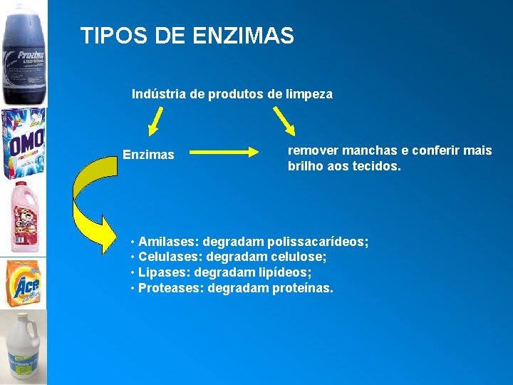 TIPOS DE ENZIMAS Indústria de produtos de limpeza Enzimas remover manchas e conferir mais