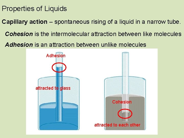 Properties of Liquids Capillary action – spontaneous rising of a liquid in a narrow