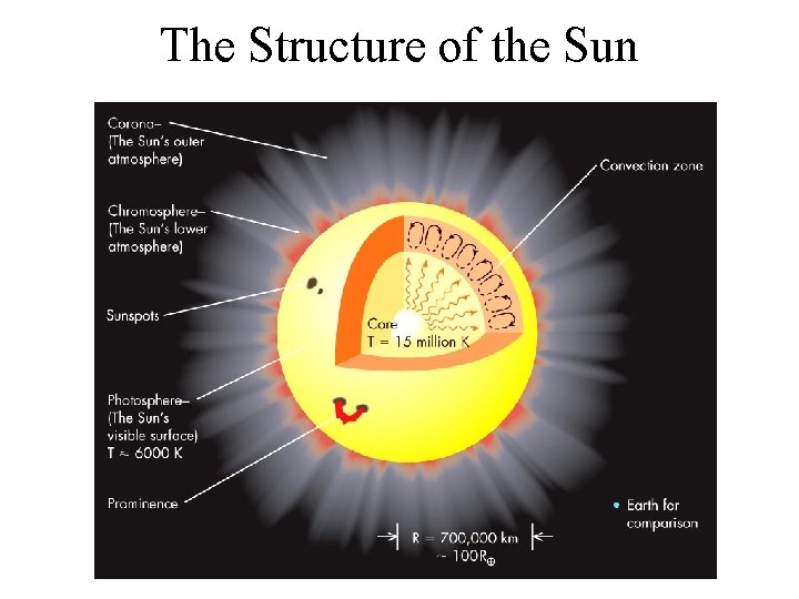 The Structure of the Sun 