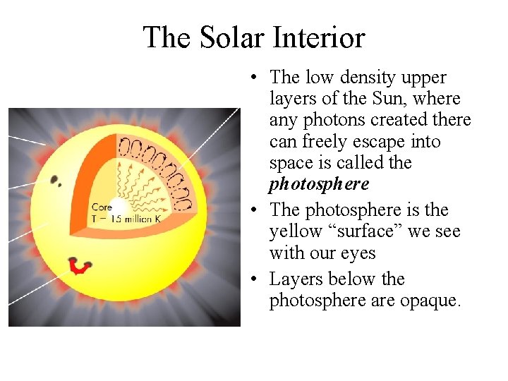 The Solar Interior • The low density upper layers of the Sun, where any