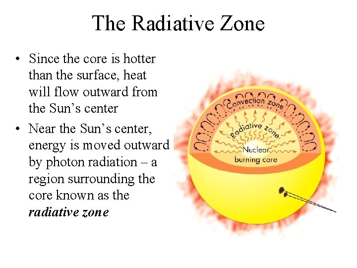 The Radiative Zone • Since the core is hotter than the surface, heat will