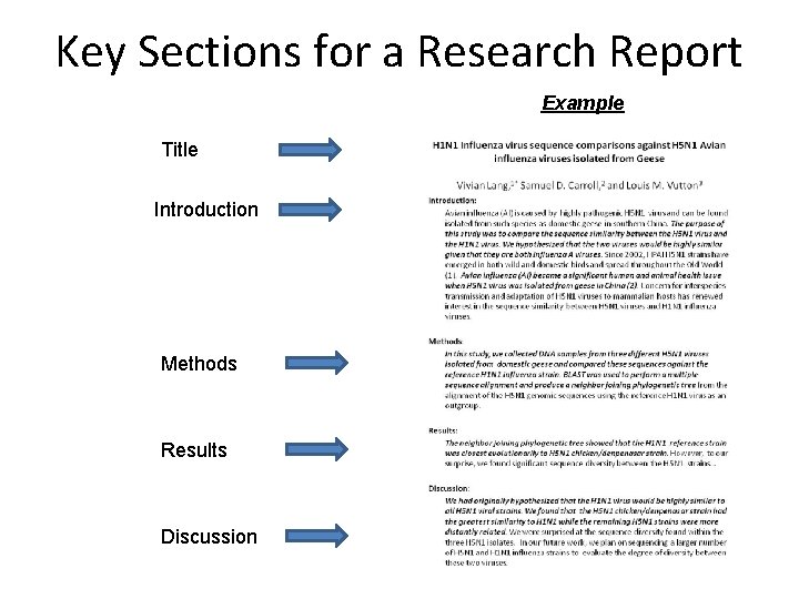 Key Sections for a Research Report Example Title Introduction Methods Results Discussion 