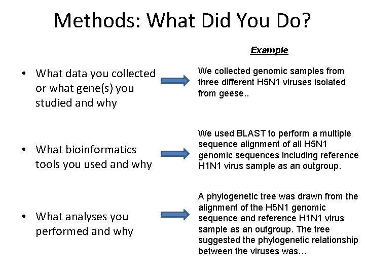 Methods: What Did You Do? Example • What data you collected or what gene(s) Methods: What Did You Do? Example • What data you collected or what gene(s)