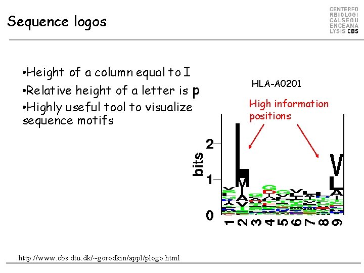 Sequence logos • Height of a column equal to I • Relative height of