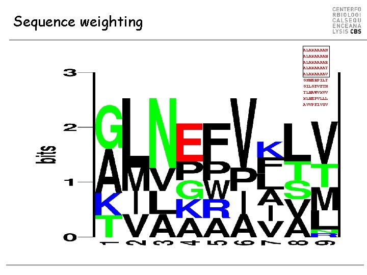 Sequence weighting ALAKAAAAM ALAKAAAAN ALAKAAAAR ALAKAAAAT ALAKAAAAV GMNERPILT GILGFVFTM TLNAWVKVV KLNEPVLLL AVVPFIVSV 