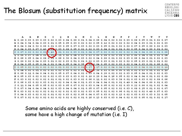 The Blosum (substitution frequency) matrix A R N D C Q E G H