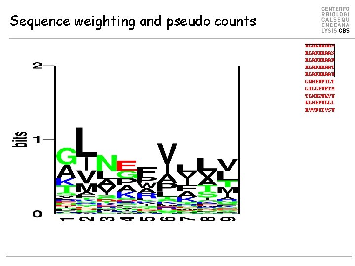 Sequence weighting and pseudo counts ALAKAAAAM ALAKAAAAN ALAKAAAAR ALAKAAAAT ALAKAAAAV GMNERPILT GILGFVFTM TLNAWVKVV KLNEPVLLL