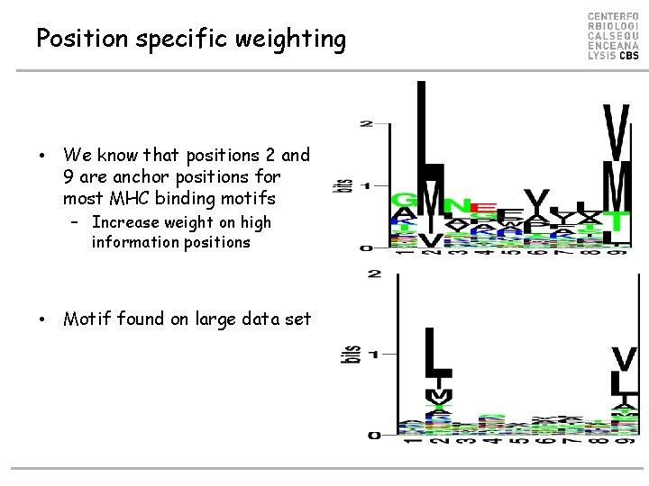 Position specific weighting • We know that positions 2 and 9 are anchor positions