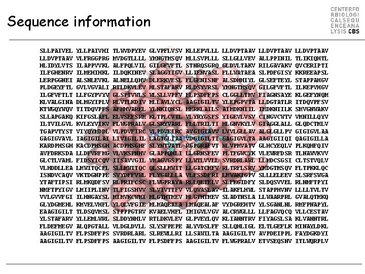 Sequence information SLLPAIVEL LLDVPTAAV HLIDYLVTS ILFGHENRV LERPGGNEI PLDGEYFTL ILGFVFTLT KLVALGINA KTWGQYWQV SLLAPGAKQ ILTVILGVL TGAPVTYST