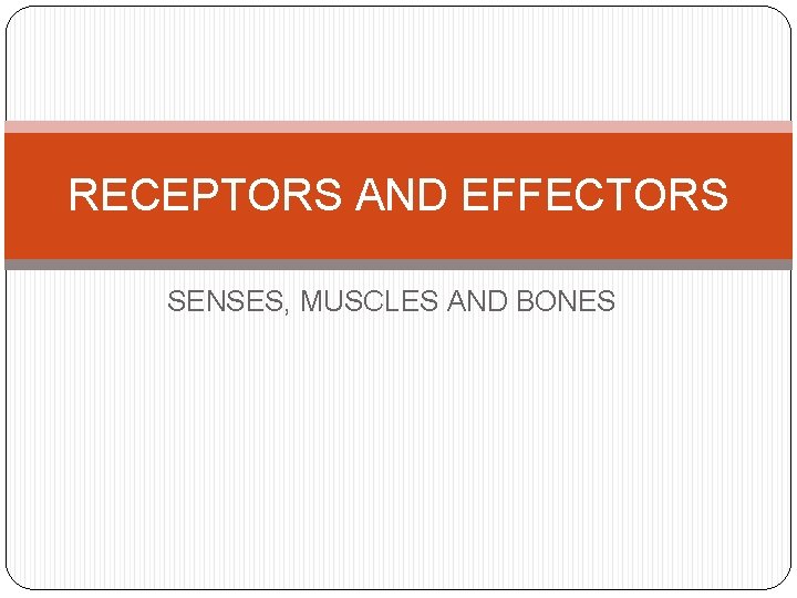 RECEPTORS AND EFFECTORS SENSES, MUSCLES AND BONES 