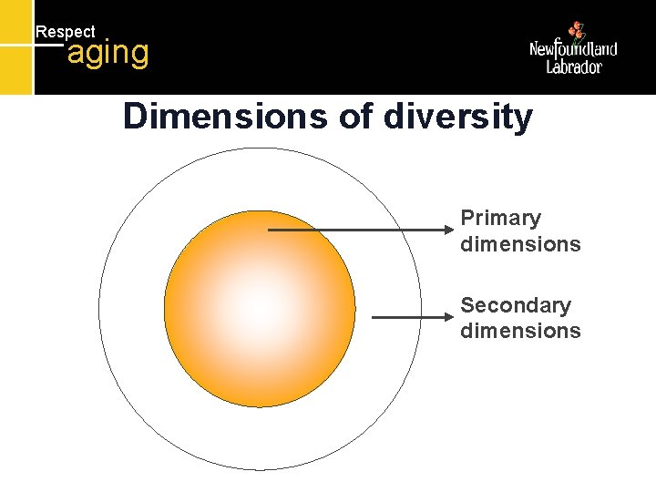 Respect aging Dimensions of diversity Primary dimensions Secondary dimensions 