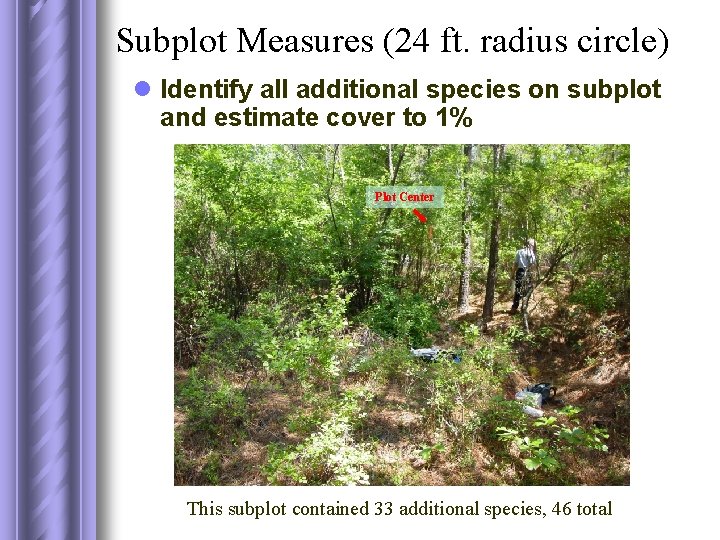 Subplot Measures (24 ft. radius circle) l Identify all additional species on subplot and