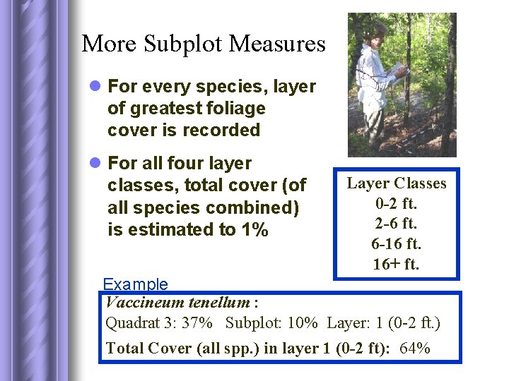 More Subplot Measures l For every species, layer of greatest foliage cover is recorded