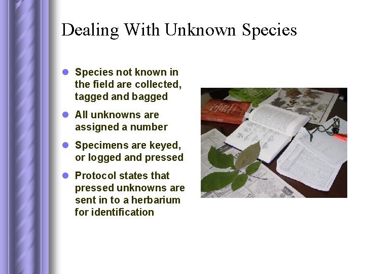 Dealing With Unknown Species l Species not known in the field are collected, tagged