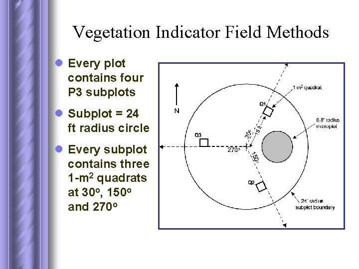 Vegetation Indicator Field Methods l Every plot contains four P 3 subplots l Subplot