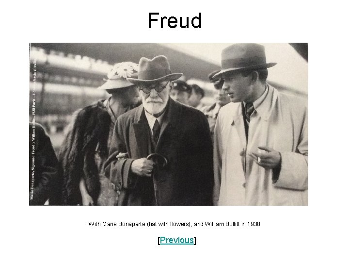 Freud With Marie Bonaparte (hat with flowers), and William Bullitt in 1938 [Previous] 