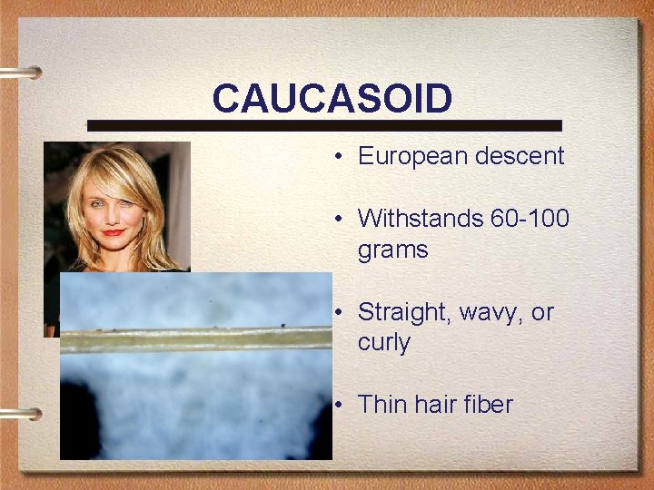 CAUCASOID • European descent • Withstands 60 -100 grams • Straight, wavy, or curly