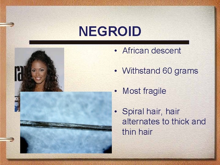NEGROID • African descent • Withstand 60 grams • Most fragile • Spiral hair,