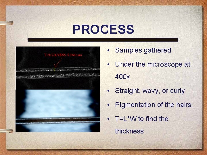 PROCESS • Samples gathered • Under the microscope at 400 x • Straight, wavy,