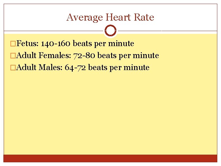 Average Heart Rate �Fetus: 140 -160 beats per minute �Adult Females: 72 -80 beats