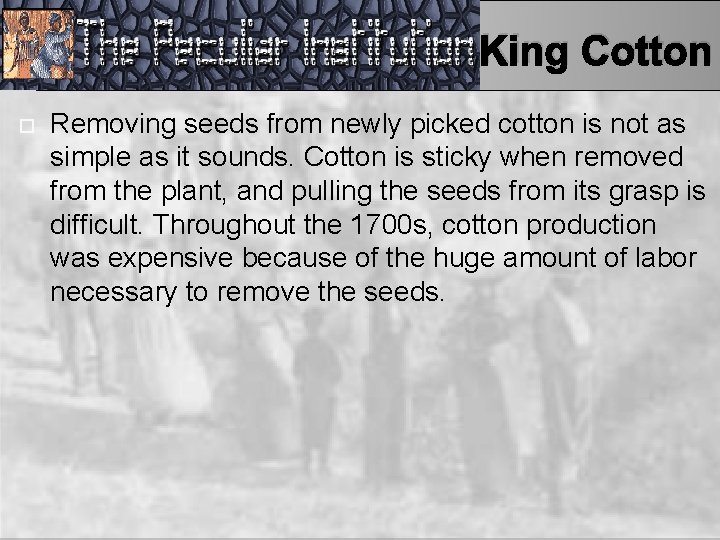 King Cotton Removing seeds from newly picked cotton is not as simple as it