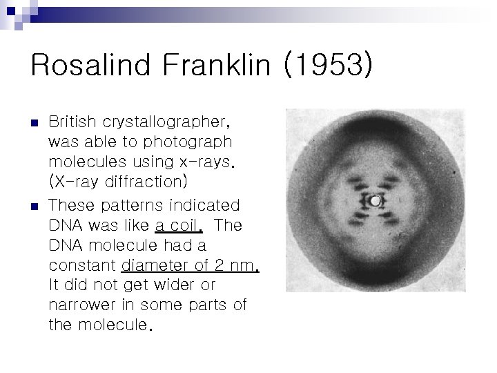 Rosalind Franklin (1953) n n British crystallographer, was able to photograph molecules using x-rays.