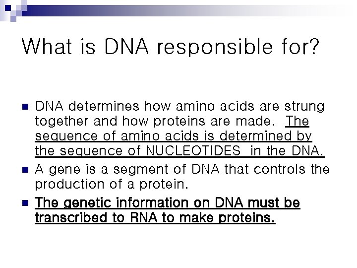What is DNA responsible for? n n n DNA determines how amino acids are