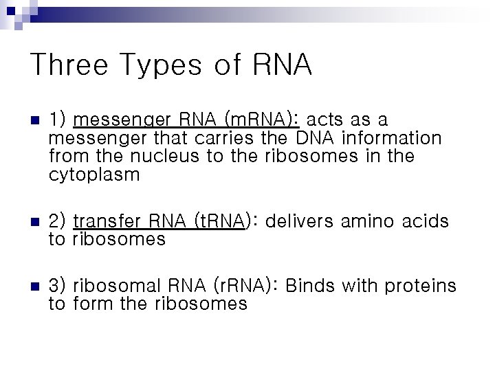 Three Types of RNA n 1) messenger RNA (m. RNA): acts as a messenger