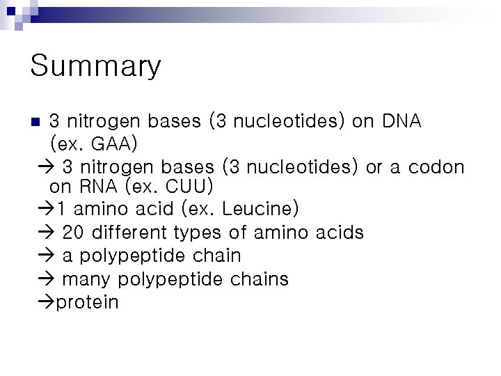 Summary 3 nitrogen bases (3 nucleotides) on DNA (ex. GAA) 3 nitrogen bases (3