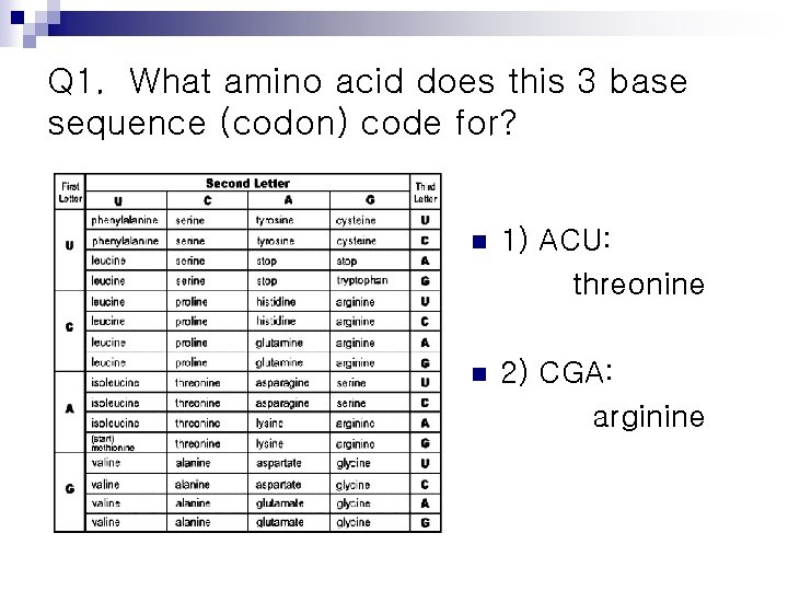 Q 1. What amino acid does this 3 base sequence (codon) code for? n