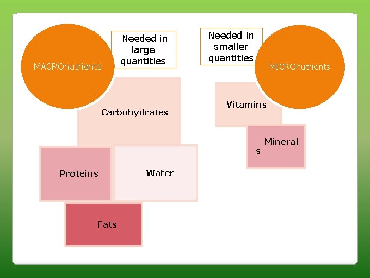 MACROnutrients Needed in large quantities Carbohydrates Needed in smaller quantities MICROnutrients Vitamins s Proteins