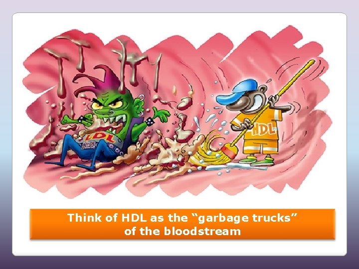 Think of HDL as the “garbage trucks” of the bloodstream 