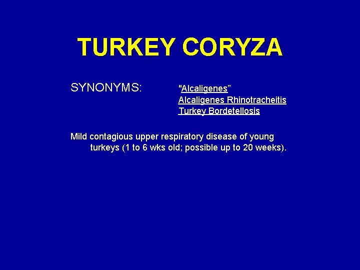 TURKEY CORYZA SYNONYMS: "Alcaligenes” Alcaligenes Rhinotracheitis Turkey Bordetellosis Mild contagious upper respiratory disease of